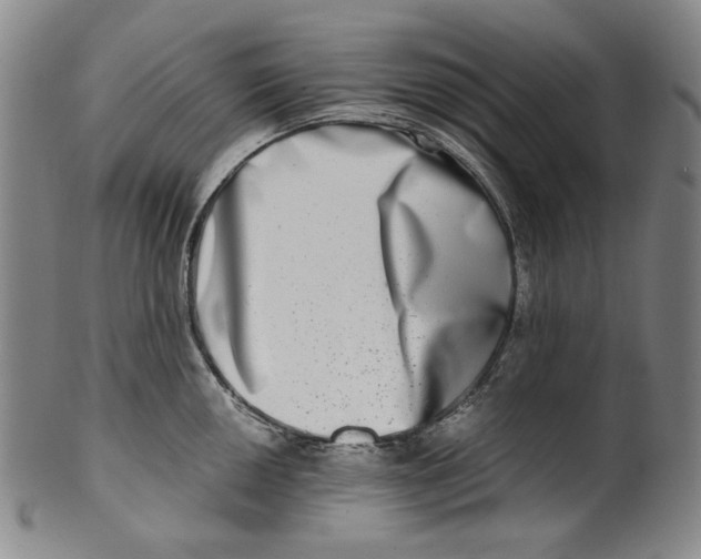 X0000100401050200806271416