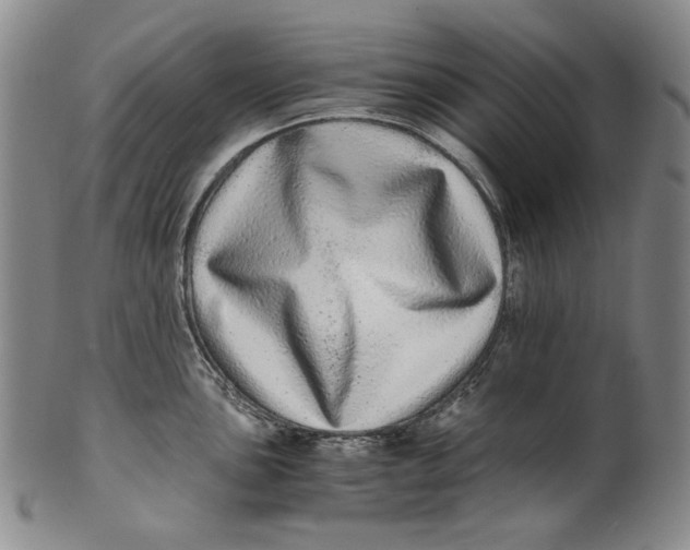 X0000100401051200806271416