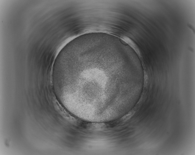 X0000100401052200806271416