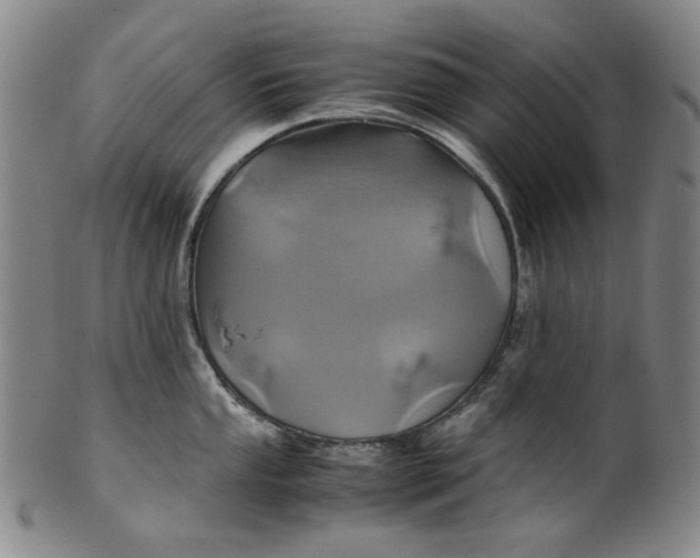 X0000100401053200806271416