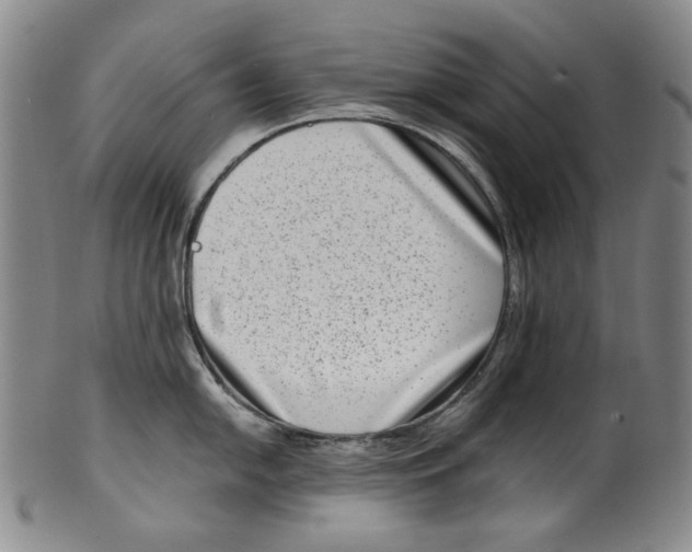 X0000100401054200806271416