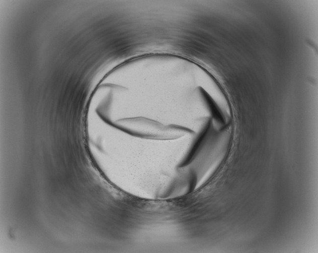 X0000100401056200806271416