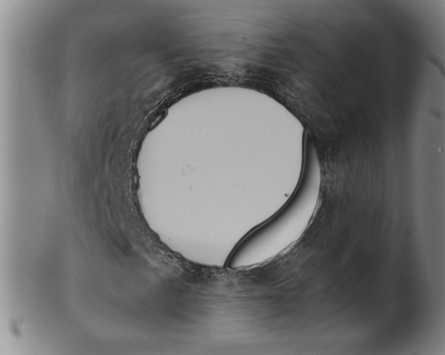 X0000100401057200806271415