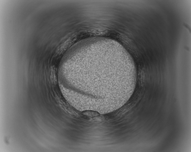X0000100401058200806271415