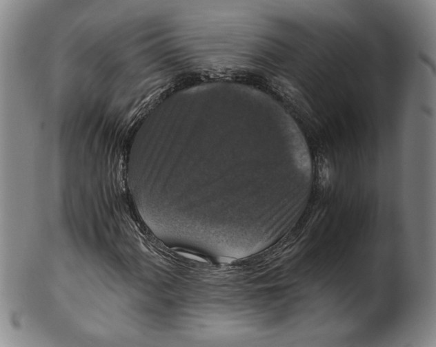 X0000100401060200806271415