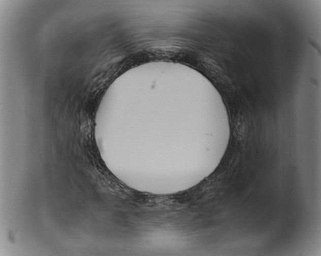 X0000100401061200806271415