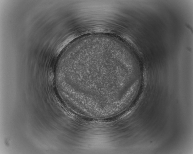 X0000100401065200806271415