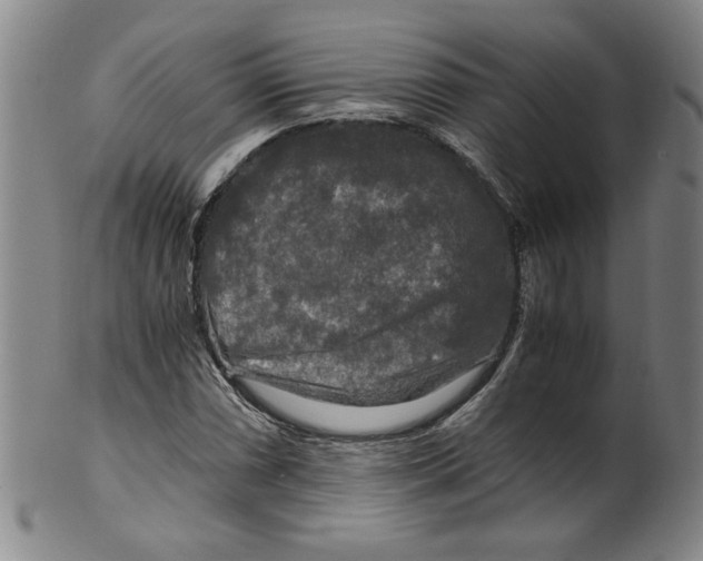 X0000100401066200806271415