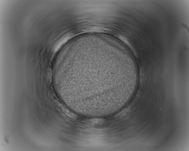 X0000100401067200806271415