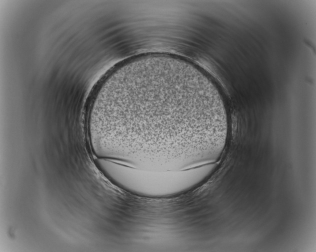 X0000100401068200806271415