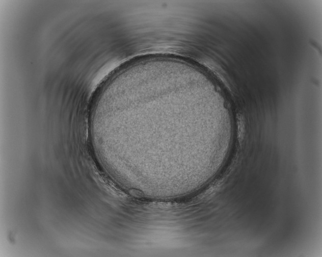 X0000100401069200806271415