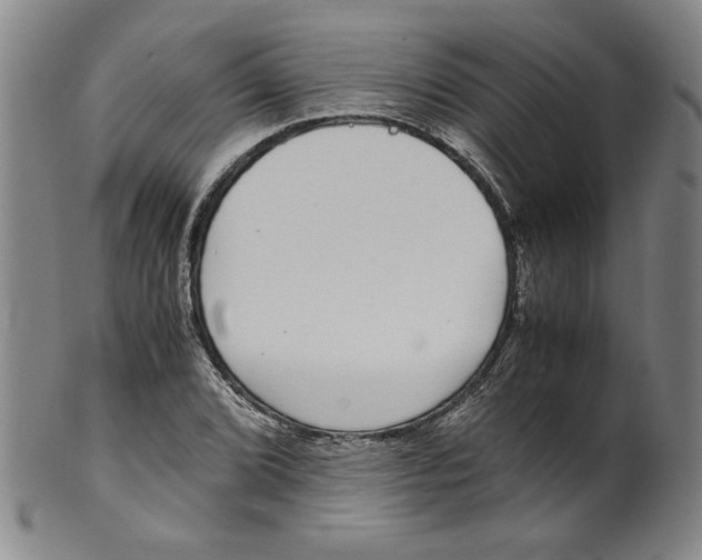 X0000100401072200806271415