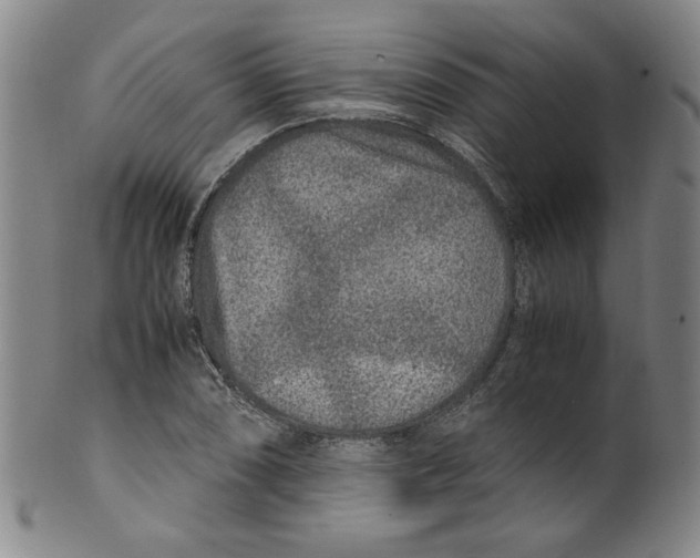 X0000100401074200806271415