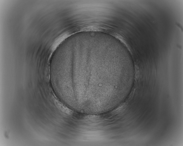 X0000100401075200806271415