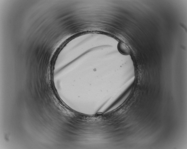 X0000100401076200806271415