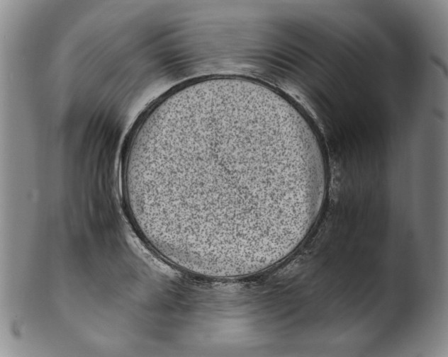 X0000100401080200806271415