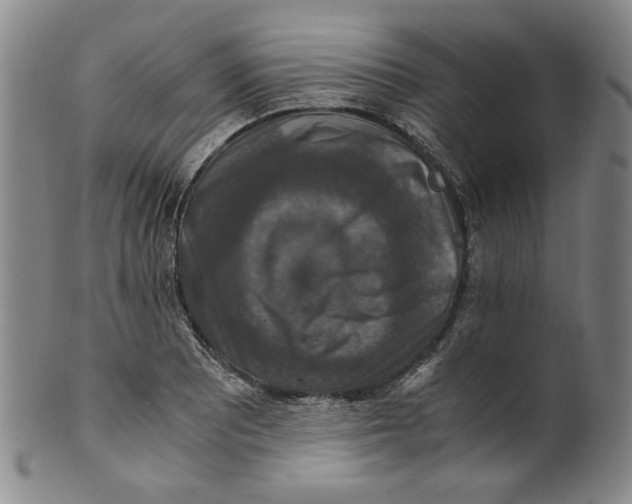 X0000100401081200806271415