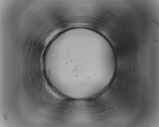X0000100401082200806271415