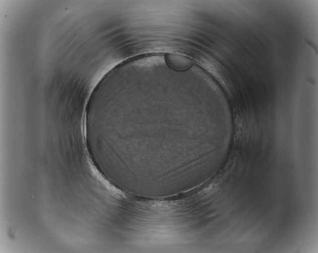 X0000100401084200806271415