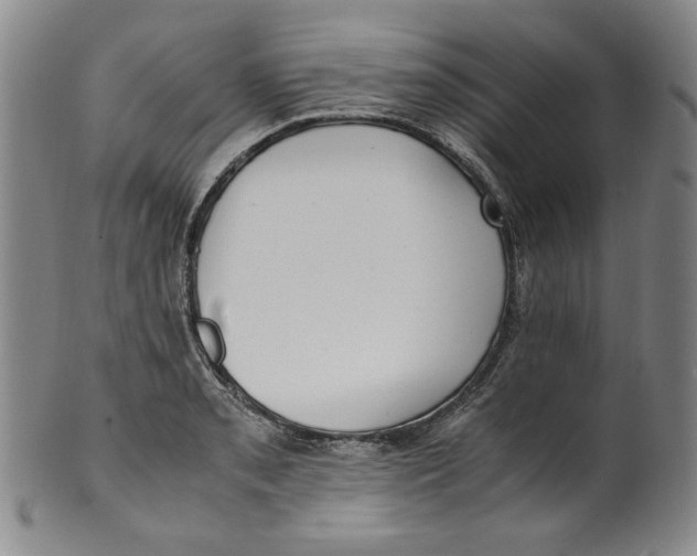 X0000100401085200806271415