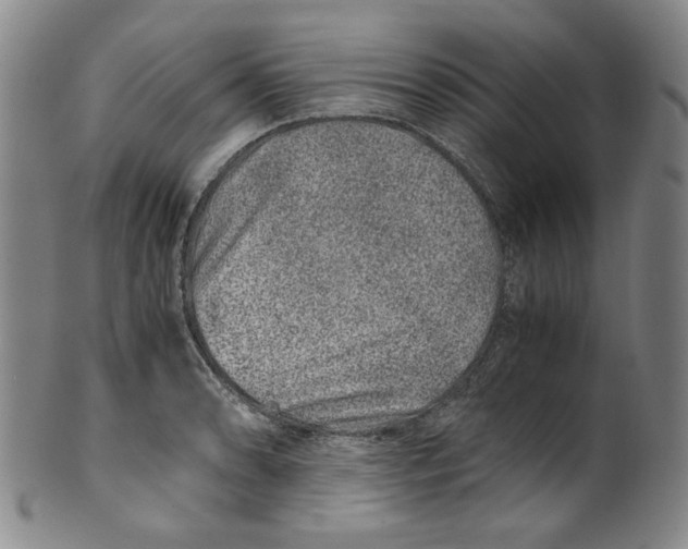 X0000100401086200806271415