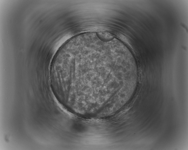 X0000100401087200806271415
