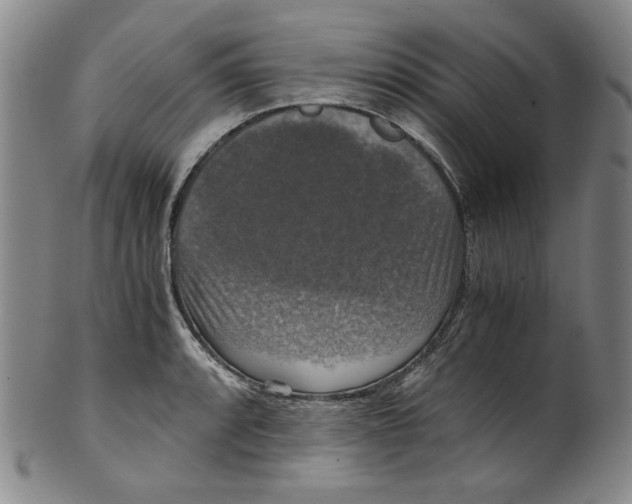 X0000100401088200806271415