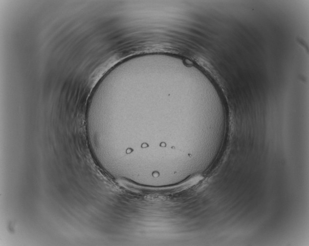 X0000100401089200806271415
