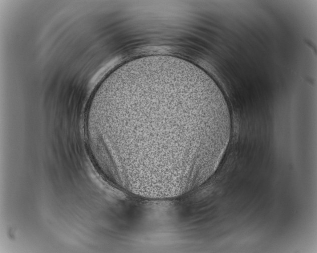 X0000100401090200806271415