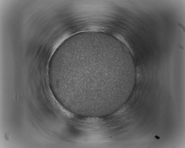 X0000100401091200806271415
