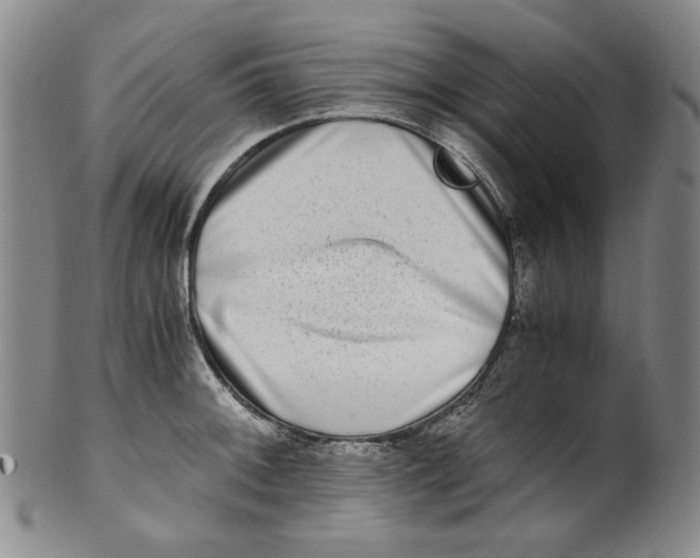 X0000100401092200806271415