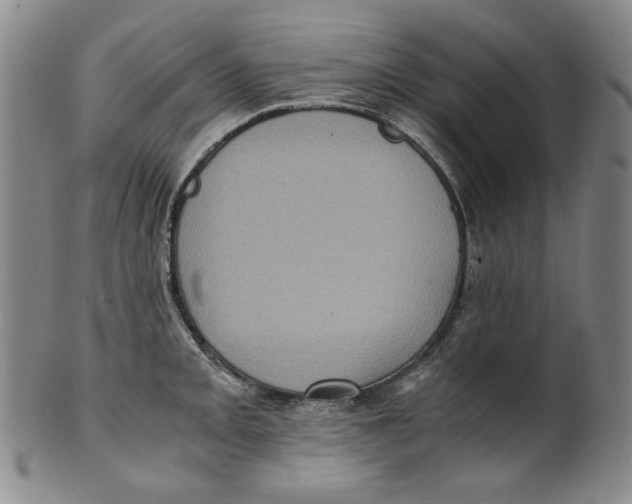 X0000100401093200806271415