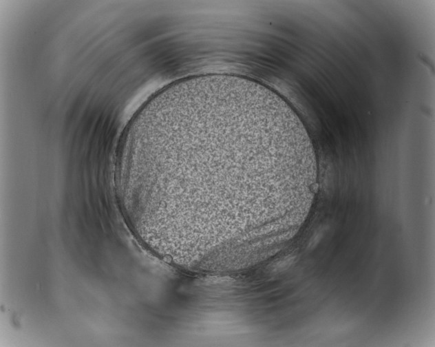 X0000100401094200806271415
