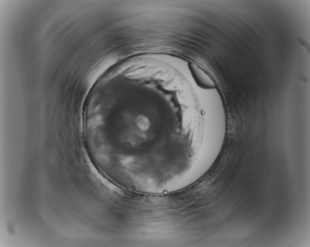 X0000100401095200806271415