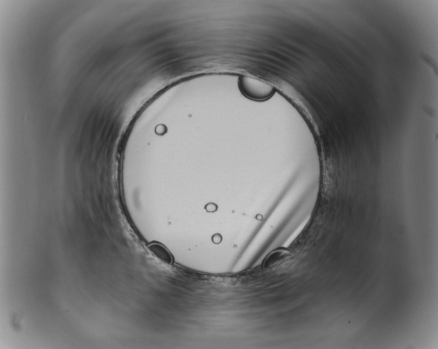 X0000100401096200806271415