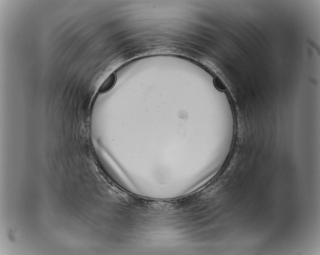 X0000100401097200806271414