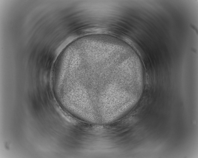 X0000100401098200806271414