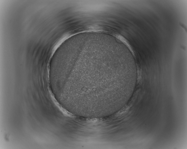 X0000100401099200806271414