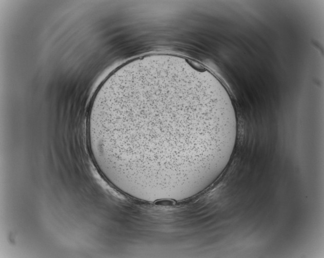 X0000100401100200806271414