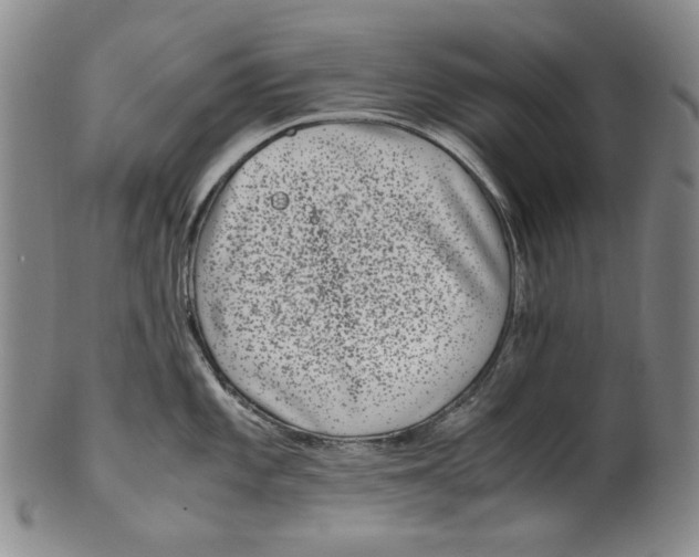 X0000100401101200806271414