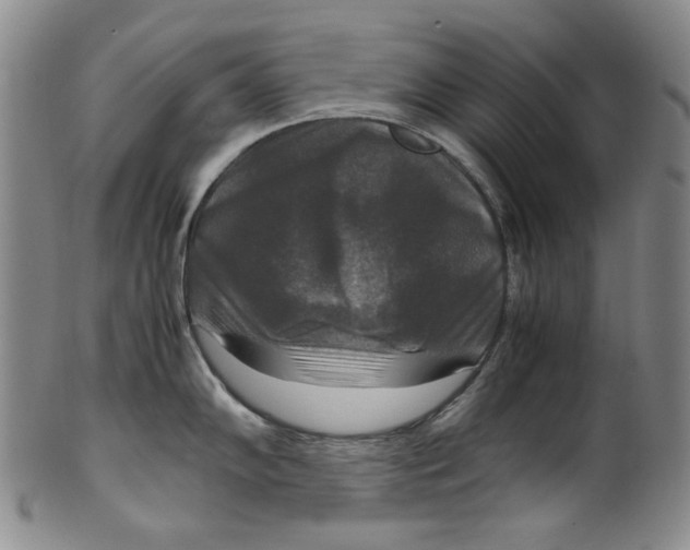 X0000100401102200806271414