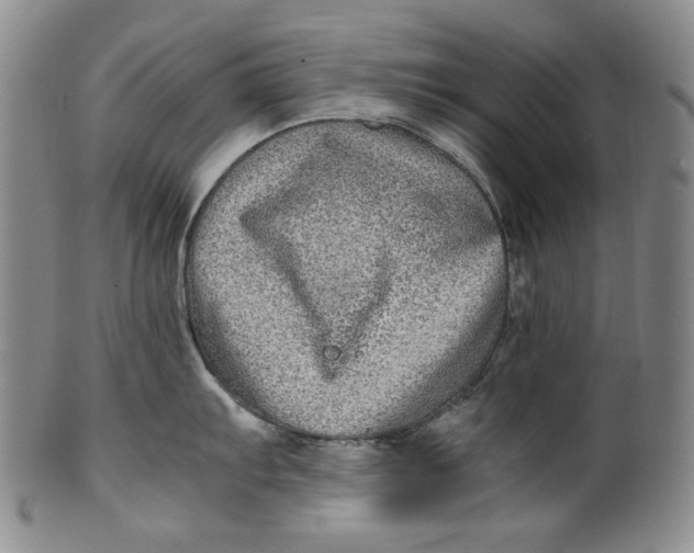 X0000100401103200806271414