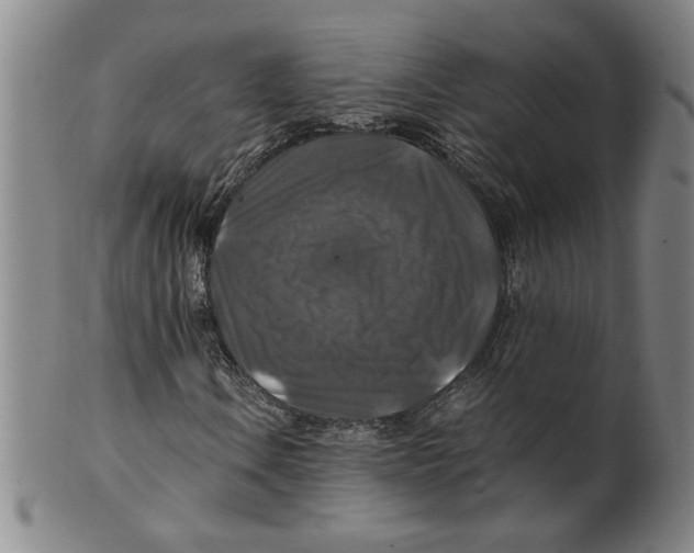 X0000100401106200806271414