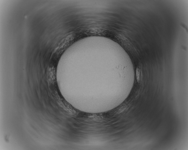 X0000100401107200806271414
