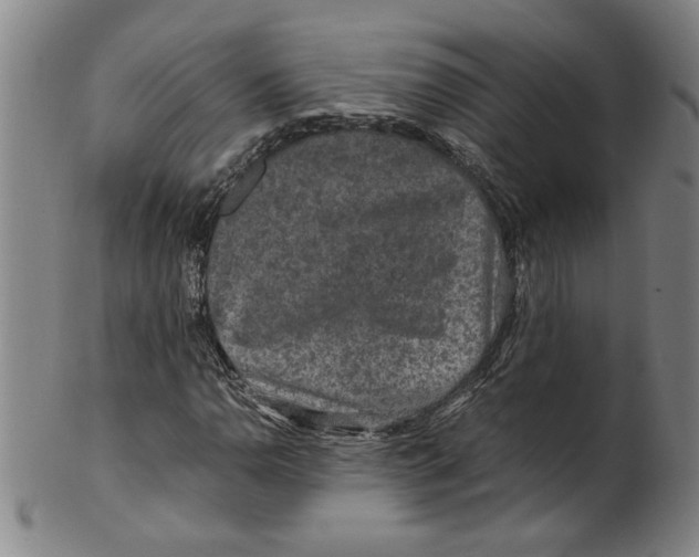 X0000100401110200806271414