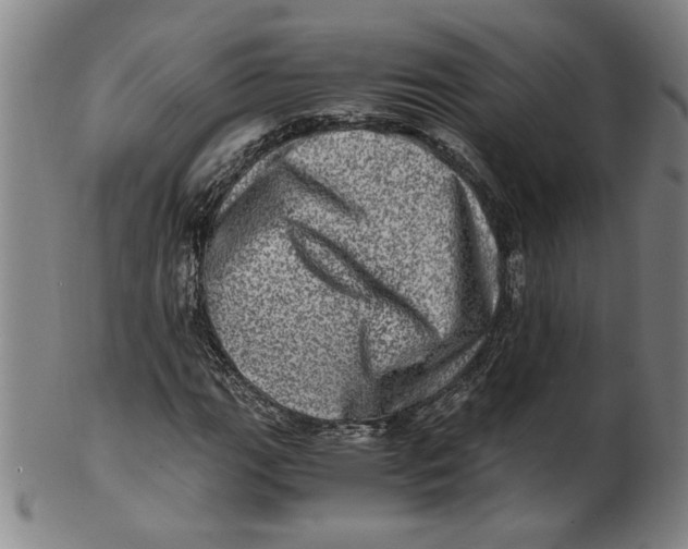 X0000100401111200806271414