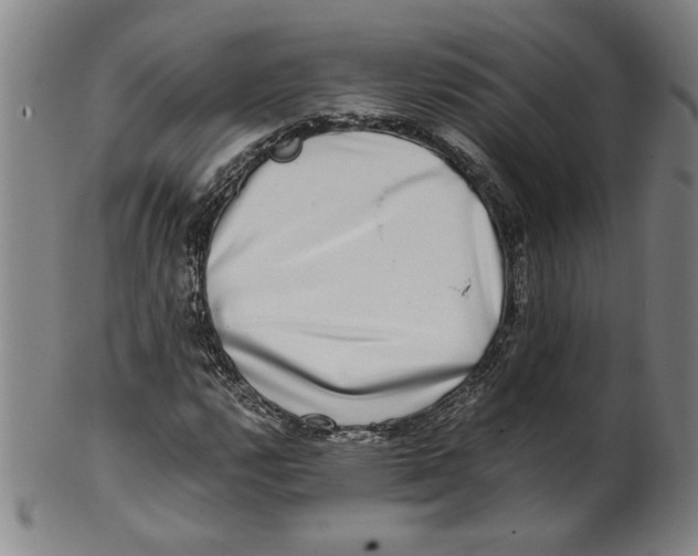 X0000100401112200806271414
