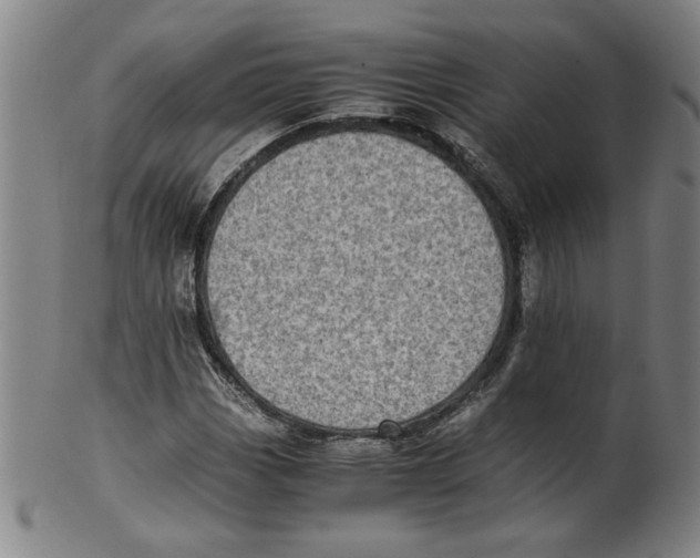 X0000100401113200806271414