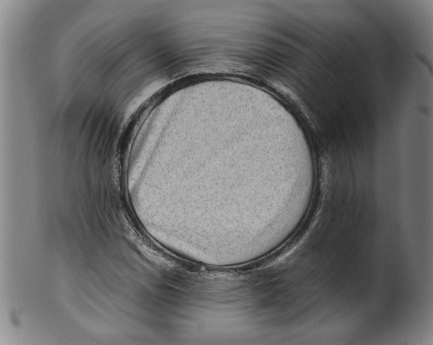 X0000100401114200806271414