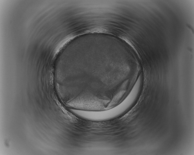 X0000100401115200806271414